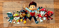 Paw Patrol tumbler wrap